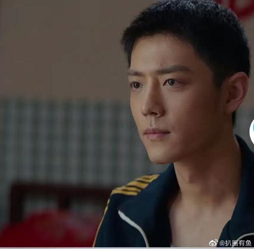 肖战李沁最新八卦爆料,甜蜜互动引粉丝热议  第3张