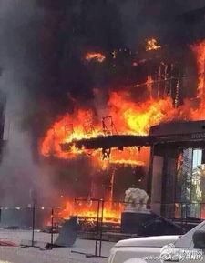 马皮附近火灾最新爆料,揭秘火因与救援行动